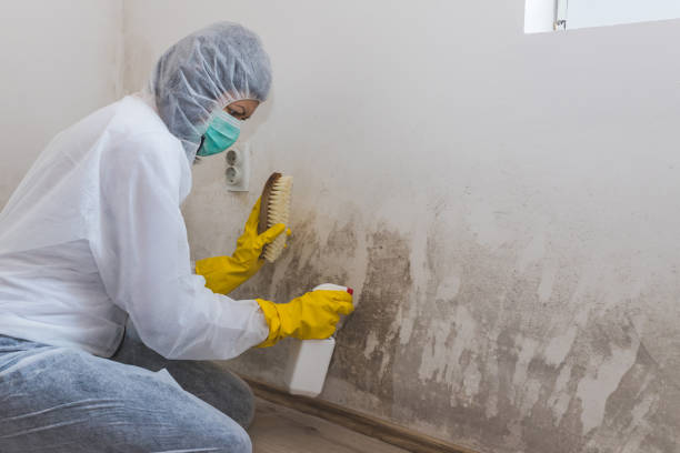 Best Mold Testing  in Midway, NC