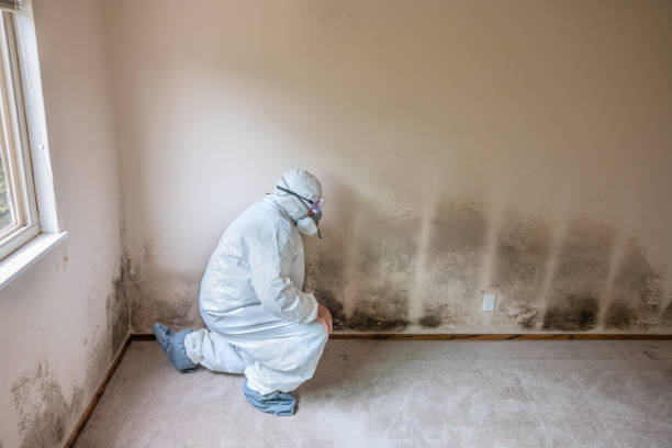 Best Residential Mold Removal  in Midway, NC